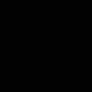 Meet your Posher, Karson